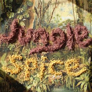 Jungle Spice(feat. Cody Brooks, Bee Taylor, Rachel Stewart & Jason Threm)