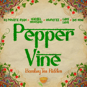 Pepper Vine