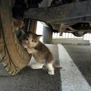 CHANGE (feat. Benny The Butcher & Bizarre) (Explicit)