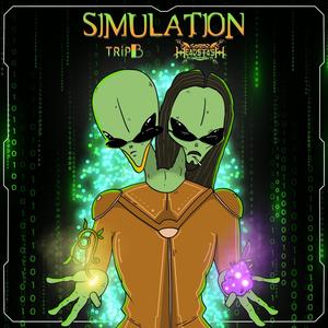 SIMULATION