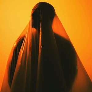 Cazando caimanes (Explicit)