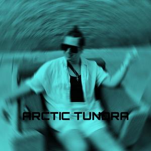 Arctic Tundra (feat. VZN) (Explicit)