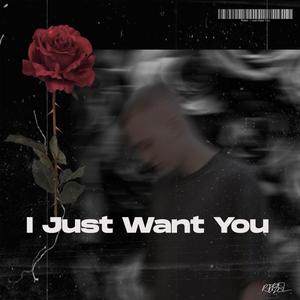 I Just Want You