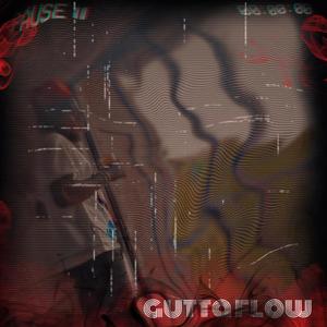 Gutta Flow (Explicit)