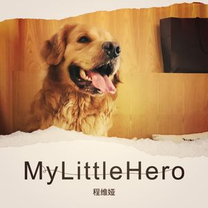My Little Hero