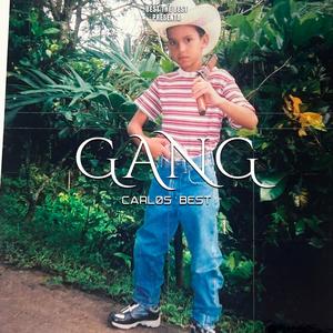 Gang (feat. Motion On The Beat) [Explicit]