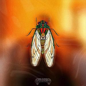 CICADA