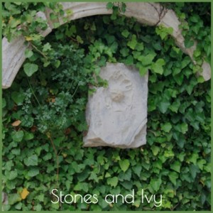 Stones and Ivy