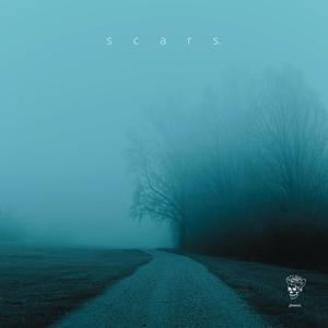 scars. (Remixes)