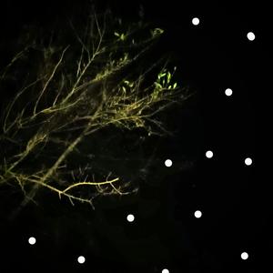 Stars (feat. Joel Tinsley)