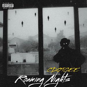 Roaming Nights (Explicit)