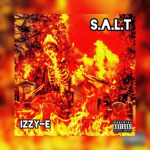 S.A.L.T (Explicit)