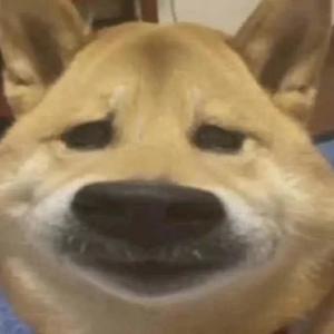 给我一个理由忘记 DJ