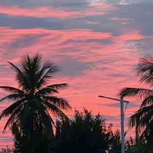 打火机 (吉隆坡的天气它是翻云又覆雨​)