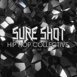 Sure Shot: Hip Hop Collective, Vol. 11