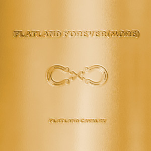 Flatland Forever (more)