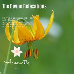 The Divine Relaxations (Soothing Music For Deep Sleep And Relaxing Spa) (Music For Healing, Crown Ch