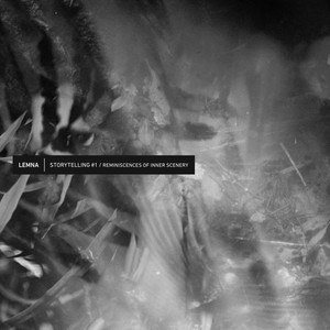 A Rabbit with a Marbled Black and White Coat