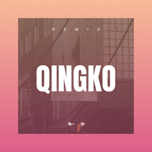 从此以后 (DJ版)