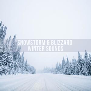 Snowstorm & Blizzard Winter Sounds