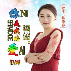 你是我的爱 (DJ版)
