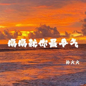 偏偏就你最争气