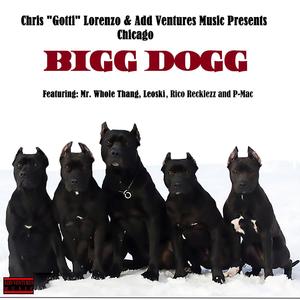 Bigg Dogg - Chicago (Clean)