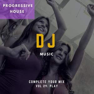 DJ Music - Complete Your Mix, Vol. 29