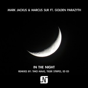 In the Night (ED ED Remix)