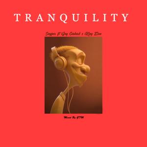 Tranquility(feat. Jay Carlord & King Zion)