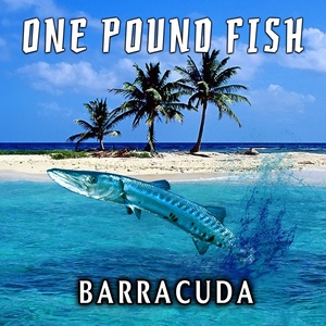 One Pound Fish (Radio Mix)