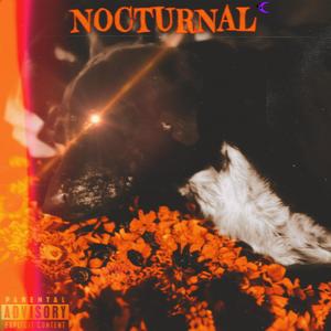 Nocturnal (Explicit)