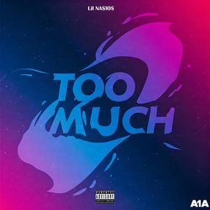 Too Much (Explicit)