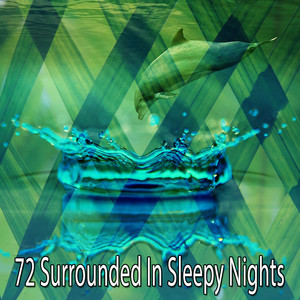 72 Surrounded in Sleepy Nights