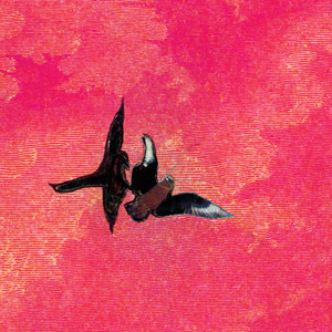 Pulmón Del Trópico