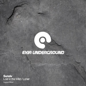 Loner (Original Mix)