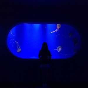 olltii - 贤姐