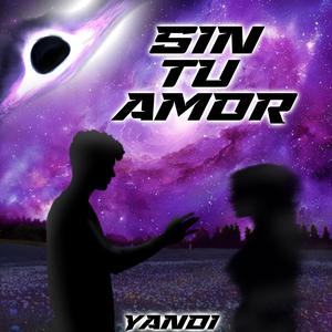 Sin tu amor