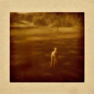 If I Shut My Feelings Down