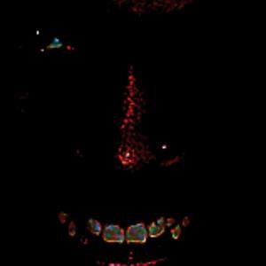 abf (intro) (Explicit)