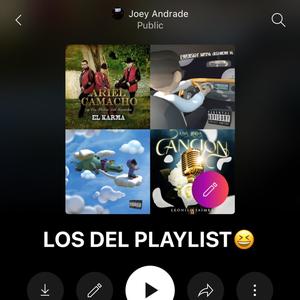 Los Del Playlist