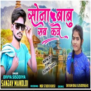 SONA BABU SAB KARE(feat. DIVYA SISODIYA & SANJAY VASUNIYA)