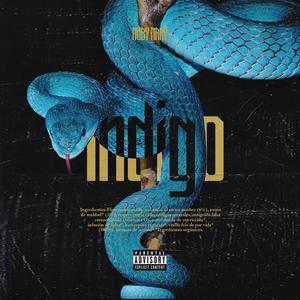 Indigo (feat. Barrasdereptil) [Explicit]