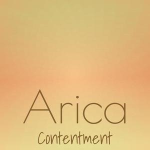 Arica Contentment