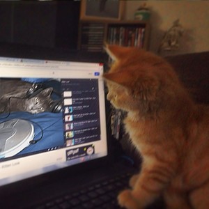 rejectr3mix (Explicit)