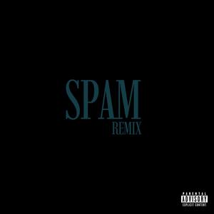 Spam.rmx (Explicit)