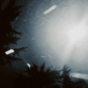 算了吧(霜停在我的眼眸)