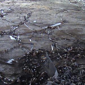 CAMOUFLAGE (feat. 6feetbelowhell & slezyorla) (Explicit)