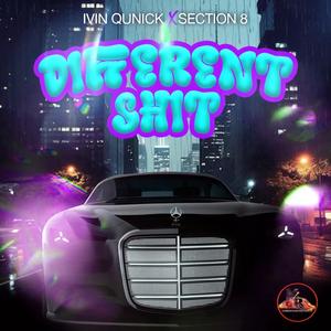 DiffrentShit (feat. Section 8) (Explicit)