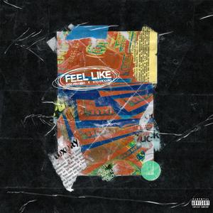 Feel Like (feat. Steven Kang) [Explicit]